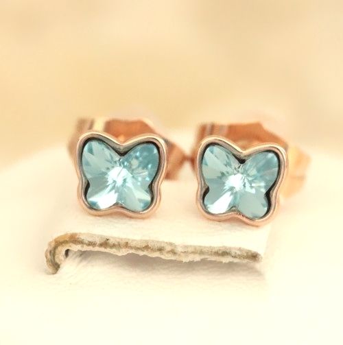 Stud earrings SW Н01-12749